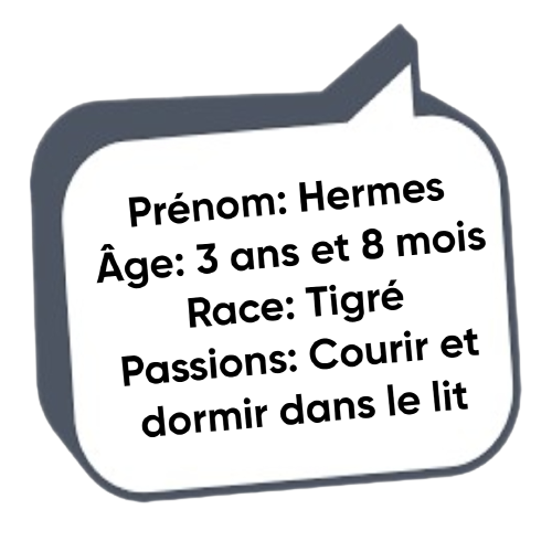 Image2_Desc